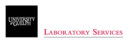 sponsor image