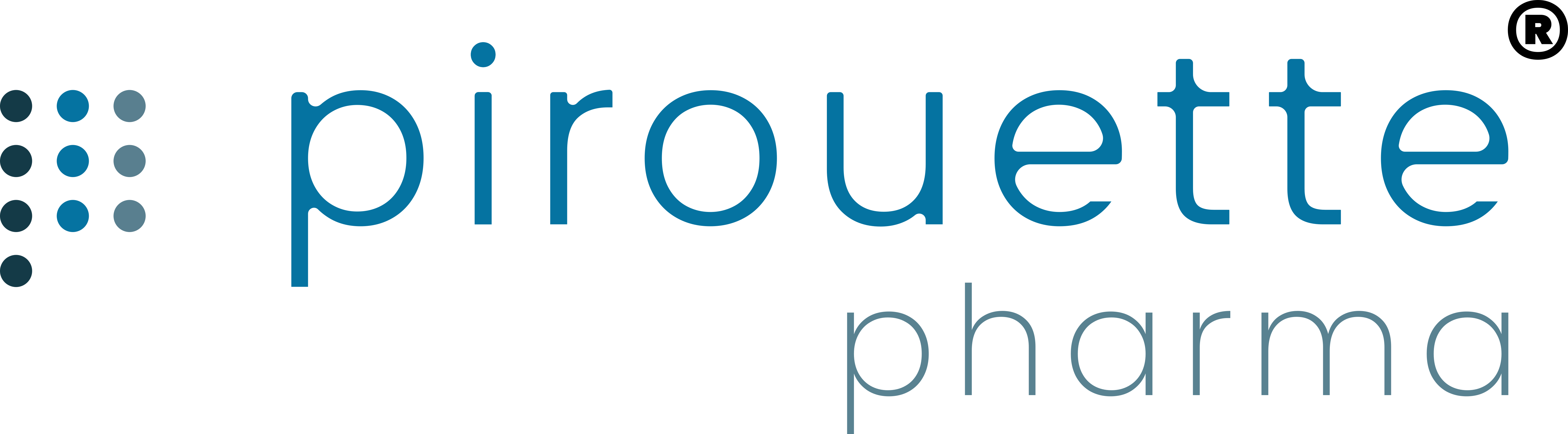 sponsor image