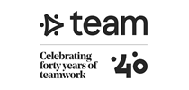 Team Consulting