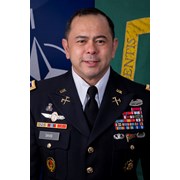 Colonel Arnel David