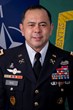 Colonel Arnel David