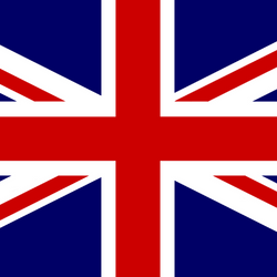 Senior Representative