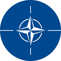 Brigadier General Peter Wass