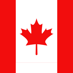 Lieutenant Colonel (Ret.) David Wood