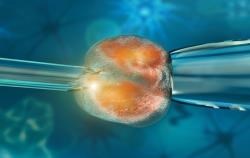 Cell Based Assays