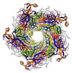 Cyclic Peptides: Discovery, Development and Deployment