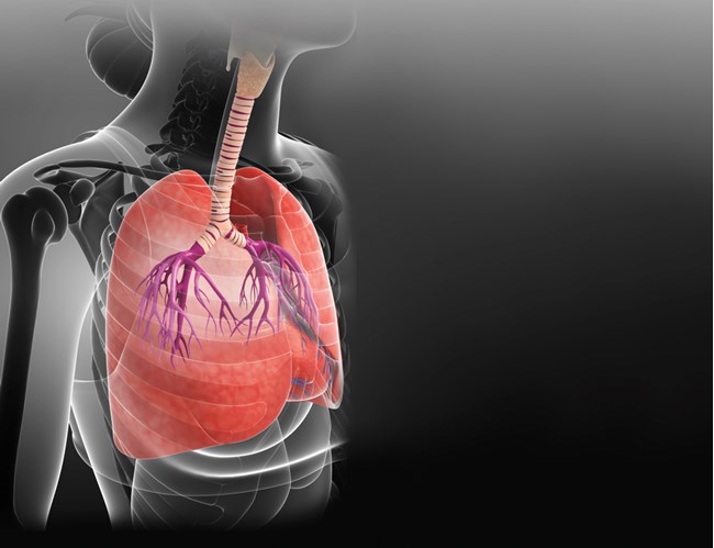 Rapid Proof of Concept in COPD trials