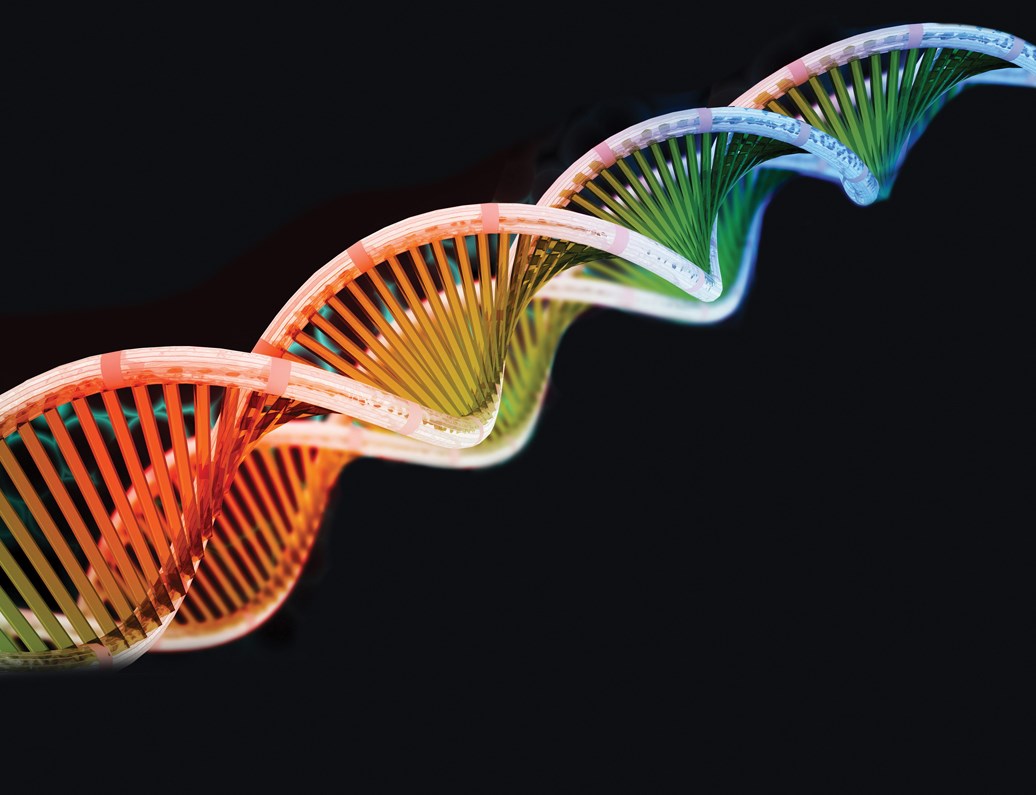 RNA Therapeutics