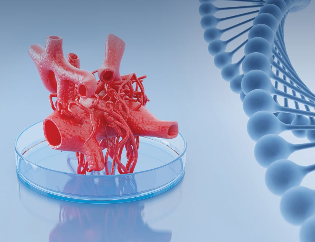 3D Cell Culture