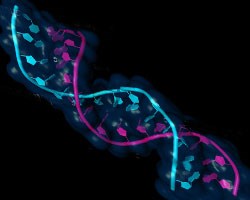 RNA Therapeutics