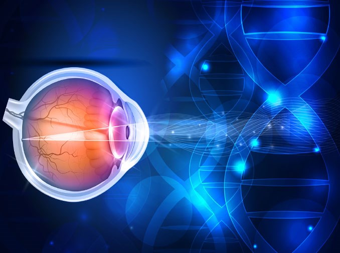 Ophthalmic Drugs