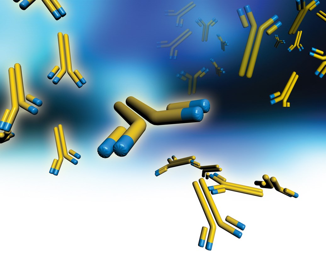 Recombinant Antibodies – structure, function and drug development