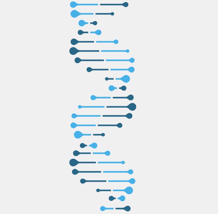 Immuno-Oncology