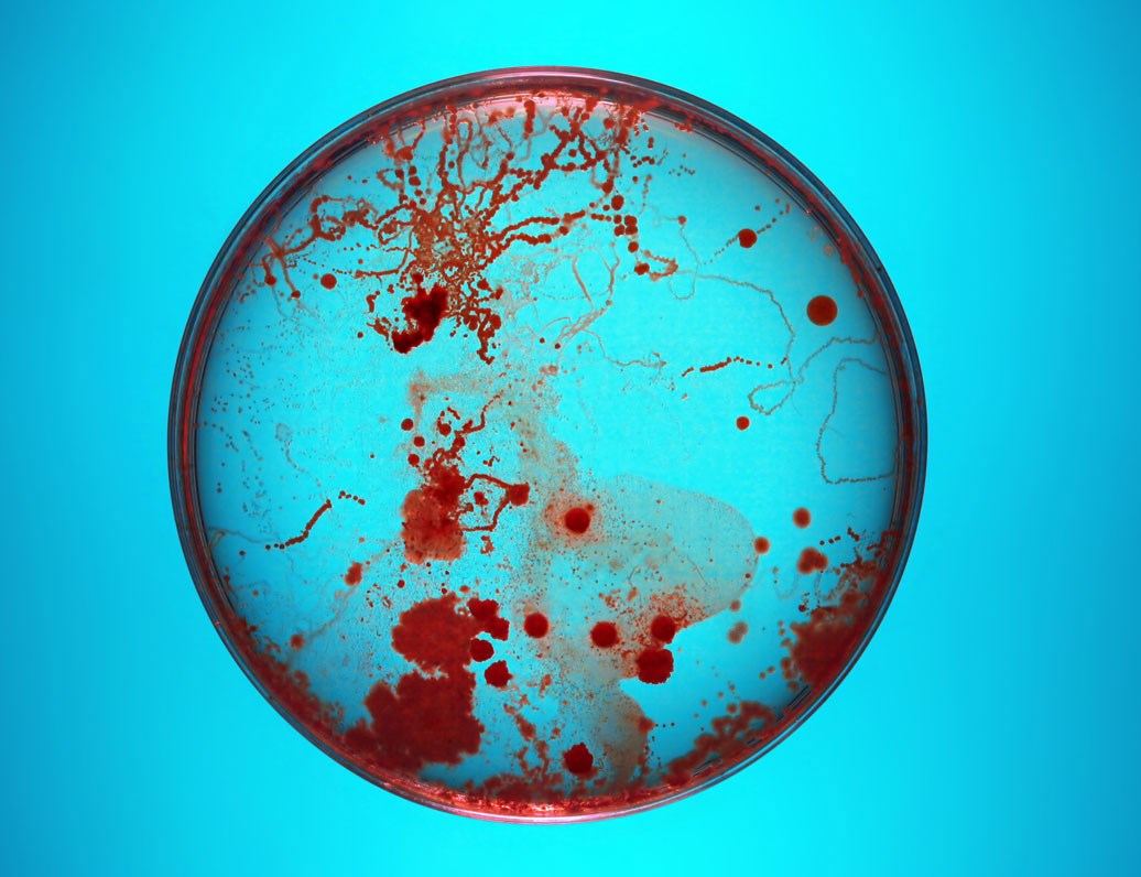 Microbiological control of GMP using Vapour Phase Hydrogen Peroxide bio-decontamination