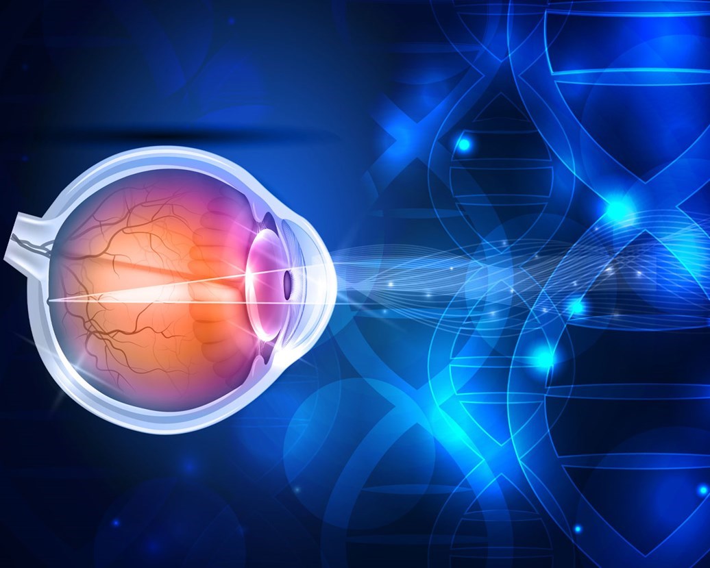 Ophthalmic Drugs Focus Day 