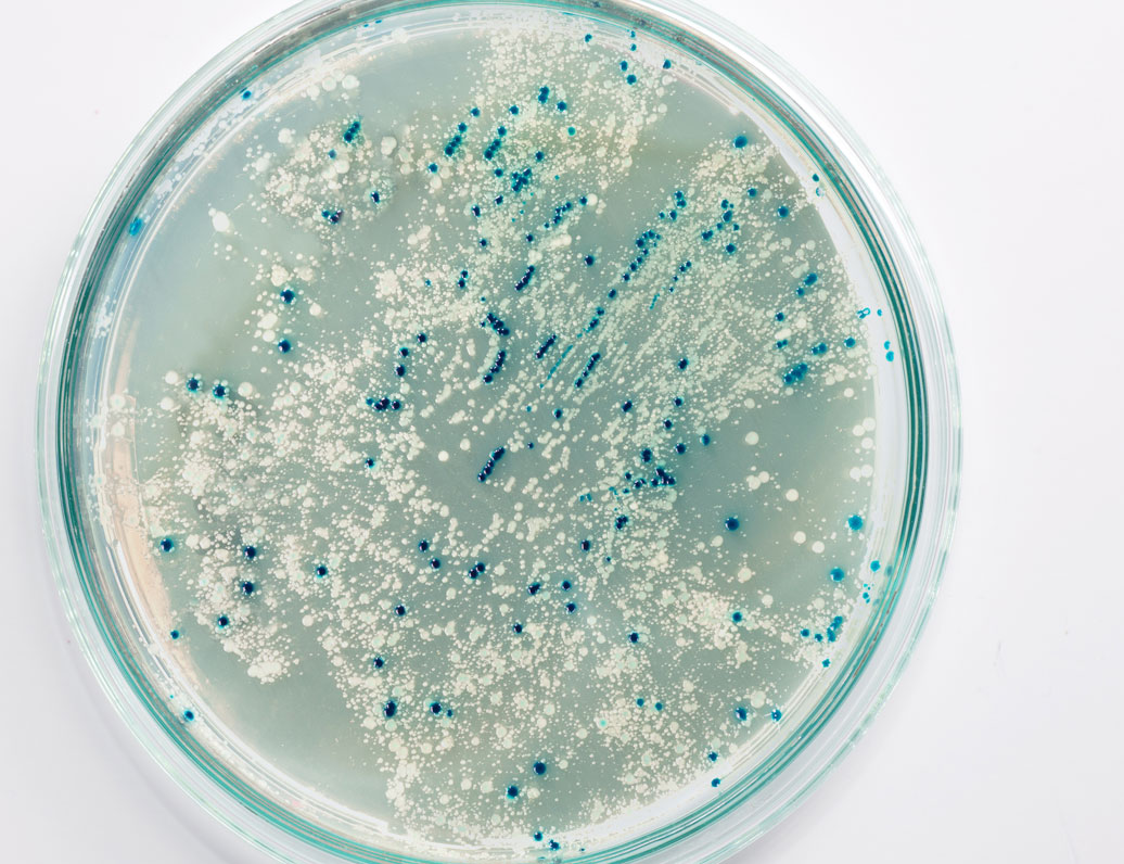 Pharmaceutical Microbiology East Coast (Virtual Conference)