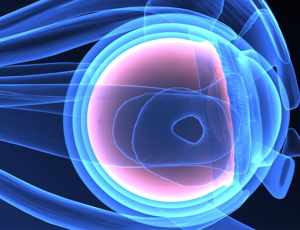 Ophthalmic Drugs